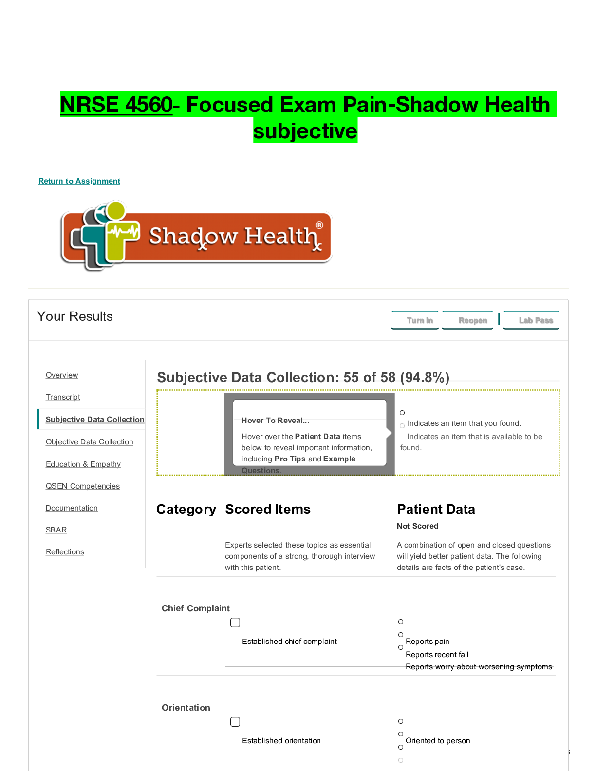 Preview of NRSE 4560- Focused Exam Pain-Shadow Health subjective    .pdf